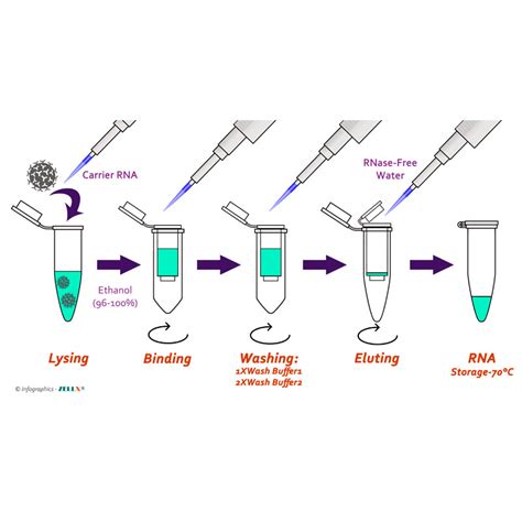 viral rna extraction kit.